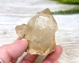 Congo Citrine #15