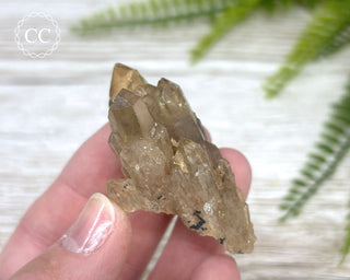 Congo Citrine #12