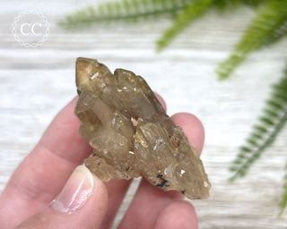 Congo Citrine #12