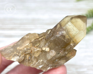 Congo Citrine #16