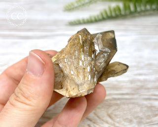 Congo Citrine #6