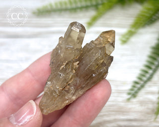 Congo Citrine #12