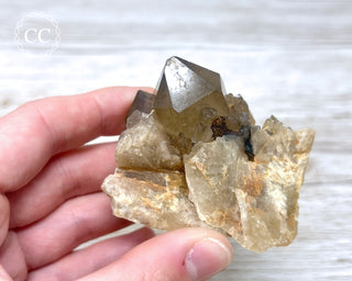 Congo Citrine #13