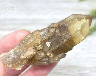 Congo Citrine #16