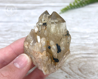 Congo Citrine #19