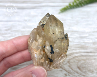 Congo Citrine #19