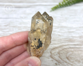 Congo Citrine #19