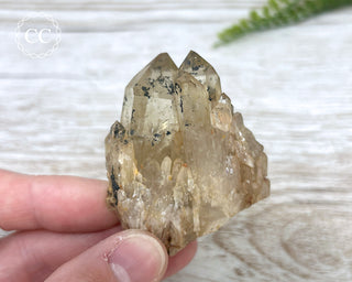 Congo Citrine #19