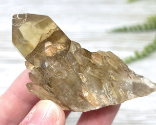 Congo Citrine #16