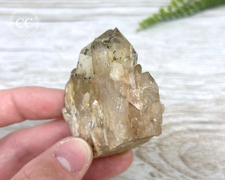 Congo Citrine #19