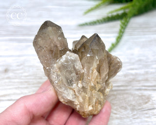 Congo Citrine #4