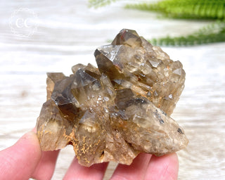 Congo Citrine #2