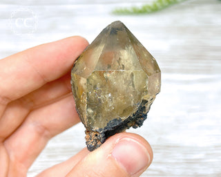 Congo Citrine #2