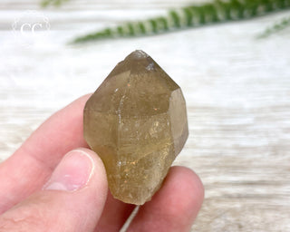 Congo Citrine #25