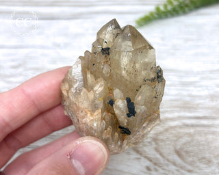 Congo Citrine #19