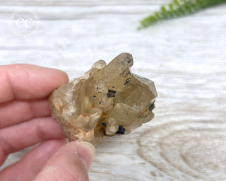 Congo Citrine #19