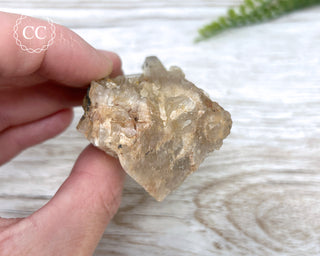 Congo Citrine #19