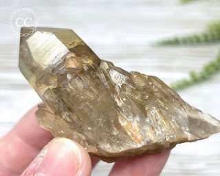 Congo Citrine #16