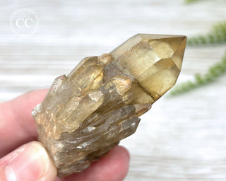 Congo Citrine #16