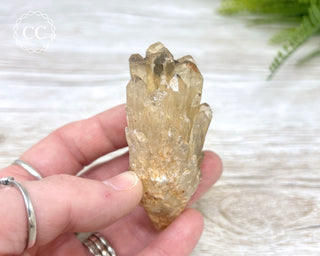Congo Citrine #16