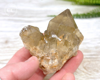 Congo Citrine #17