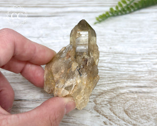 Congo Citrine #4