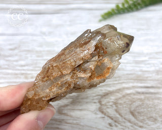 Congo Citrine #20