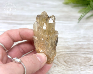 Congo Citrine #16