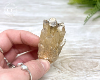 Congo Citrine #16