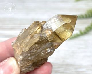 Congo Citrine #16