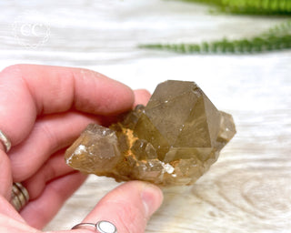 Congo Citrine #17
