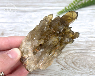 Congo Citrine #21