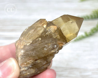 Congo Citrine #16