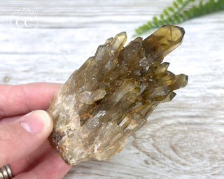 Congo Citrine #21