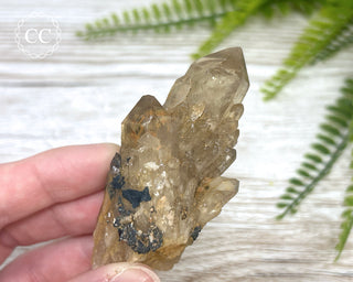 Congo Citrine #23