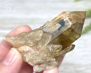 Congo Citrine #17