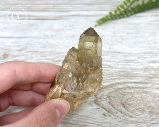 Congo Citrine #22