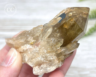 Congo Citrine #22