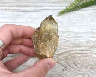 Congo Citrine #22