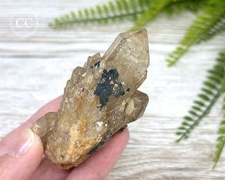 Congo Citrine #23