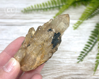 Congo Citrine #23