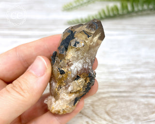 Congo Citrine #8