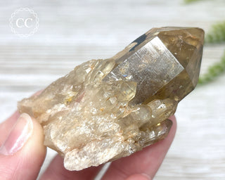 Congo Citrine #17