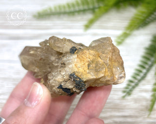 Congo Citrine #23