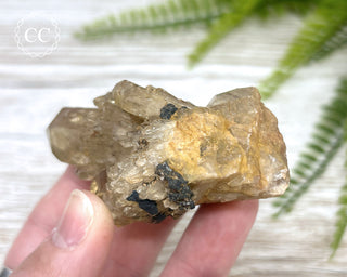 Congo Citrine #23