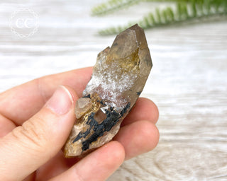 Congo Citrine #8