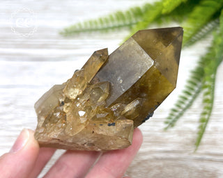 Congo Citrine #24