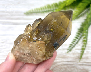 Congo Citrine #24