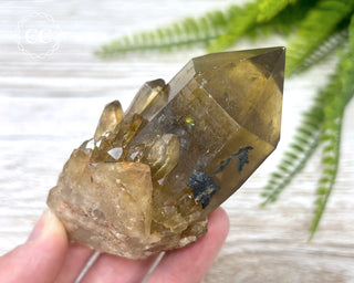 Congo Citrine #24