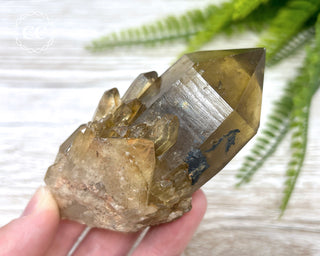 Congo Citrine #24